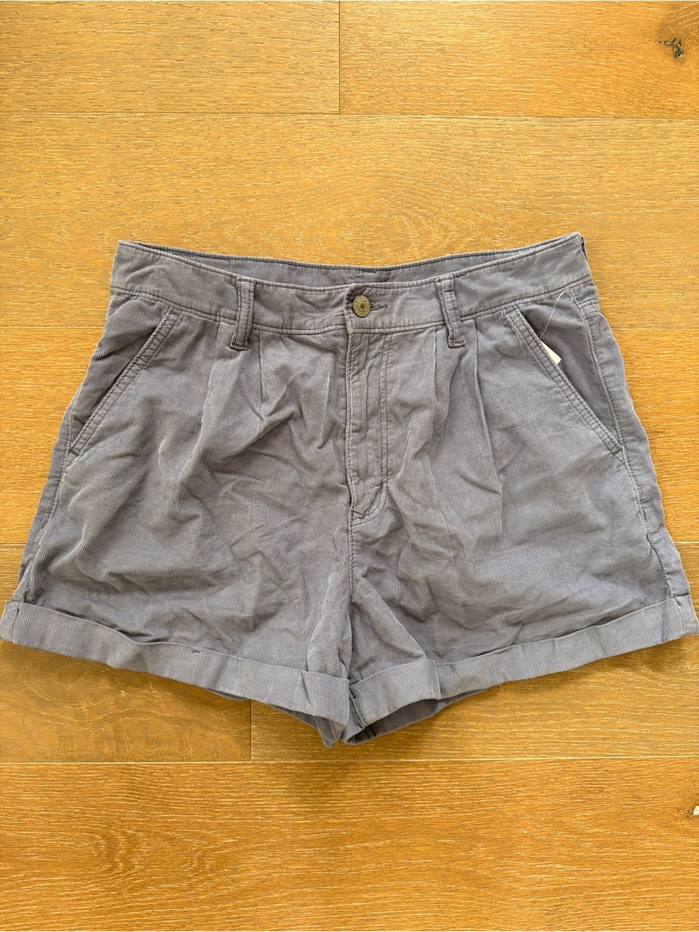 NWT American Eagle Pleated Cuffed Mon Shorts | 8